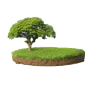 Lands & Plots for Rent