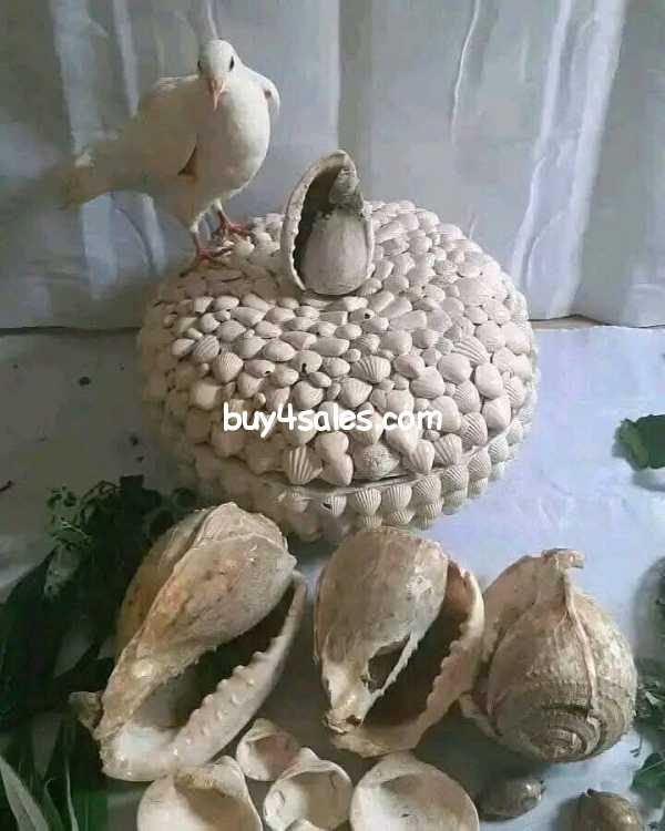 Image of The most powerful native doctor in Nigeria