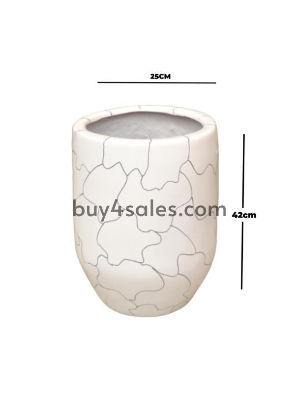 shoe image